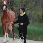Previsite Albo Cavalli 2024: terminata la prima giornata 