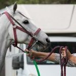 Corse a Monteroni d'Arbia: ecco la fotogallery di Nicolò Ricci