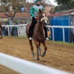 Corse a Monteroni d'Arbia: ecco la fotogallery di Nicolò Ricci
