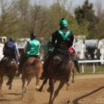 Monticiano: la fotogallery delle corse di oggi