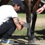 Monticiano: la fotogallery delle corse di oggi