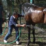 Monticiano: la fotogallery delle corse di oggi