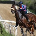 Monticiano: la fotogallery delle corse di oggi