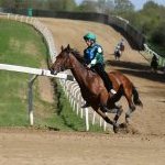 Monticiano: la fotogallery delle corse di oggi