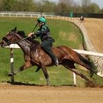 Monticiano: la fotogallery delle corse di oggi