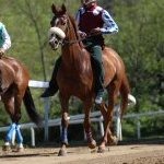Monticiano: la fotogallery delle corse di oggi