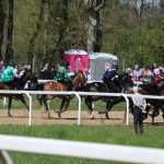 Monticiano: la fotogallery delle corse di oggi