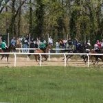 Monticiano: la fotogallery delle corse di oggi