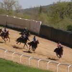 Monticiano: la fotogallery delle corse di oggi