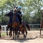 Monticiano: la fotogallery delle corse di oggi