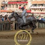 Palio 2 luglio 2024: la fotogallery delle batterie di selezione
