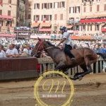 Palio 2 luglio 2024: la fotogallery delle batterie di selezione