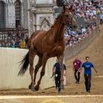 Palio 2 luglio 2024: la fotogallery delle batterie di selezione
