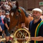 Palio 2 luglio 2024: le foto dell'Assegnazione dei cavalli