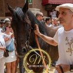 Palio 2 luglio 2024: le foto dell'Assegnazione dei cavalli