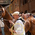 Palio 2 luglio 2024: le foto dell'Assegnazione dei cavalli