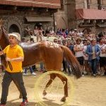 Palio 2 luglio 2024: le foto dell'Assegnazione dei cavalli