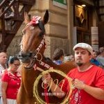 Palio 2 luglio 2024: la fotogallery della prima prova