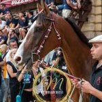 Palio 2 luglio 2024: la fotogallery della prima prova