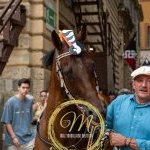 Palio 2 luglio 2024: la fotogallery della prima prova