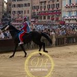 Palio 2 luglio 2024: la fotogallery della prima prova