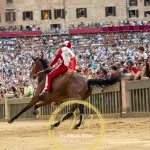 Palio 2 luglio 2024: la fotogallery della prima prova
