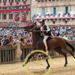 Palio 2 luglio 2024: la fotogallery della prima prova