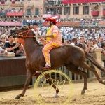 Palio 2 luglio 2024: la fotogallery della prima prova