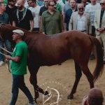 Palio 2 luglio 2024: la gallery della quarta prova
