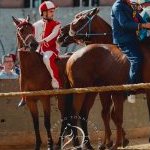 Palio 2 luglio 2024: la gallery della quarta prova
