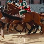 Palio 2 luglio 2024: la gallery della quarta prova