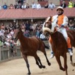 Palio 2 luglio 2024: le foto della Prova Generale