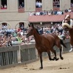 Palio 2 luglio 2024: le foto della Prova Generale