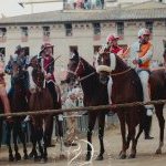 Palio rinviato, la fotogallery