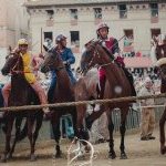 Palio rinviato, la fotogallery