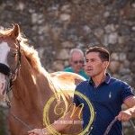 Palio 16 agosto 2024: terminata la prima giornata di previsite