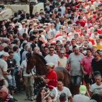 Palio 16 agosto 2024: la fotogallery dell'assegnazione dei cavalli