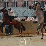 Palio 16 agosto 2024: la fotogallery di Pietro Tonnicodi delle batterie di selezione 