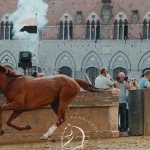 Palio 16 agosto 2024: la fotogallery di Pietro Tonnicodi delle batterie di selezione 