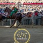Palio 16 agosto 2024: la fotogallery della quarta prova