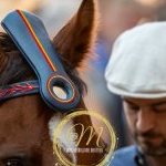 Palio 16 agosto 2024: la fotogallery della quarta prova