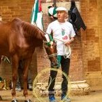 Palio 16 agosto 2024: la fotogallery della quarta prova