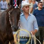 Palio 16 agosto 2024: la fotogallery della quarta prova