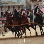 Palio 16 agosto 2024: la fotogallery della quarta prova