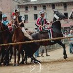 Palio 16 agosto 2024: la fotogallery della Provaccia