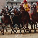 Palio 16 agosto 2024: la fotogallery della Provaccia