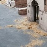 Comunicato ufficiale della Contrada della Torre