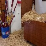 Comunicato ufficiale della Contrada della Torre