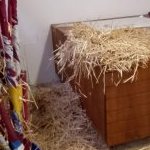 Comunicato ufficiale della Contrada della Torre