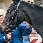 La fotogallery della Rassegna dei puledri 2024